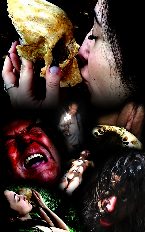 Einöde der Peiniger - Limited 65 Hartbox - Cover B